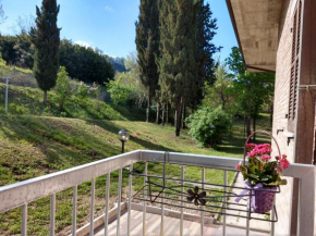 B&B IL TORCHIO-URBINO, Urbino